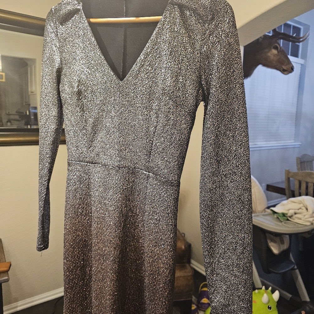 Charlotte Russe Silver/Gold Dress